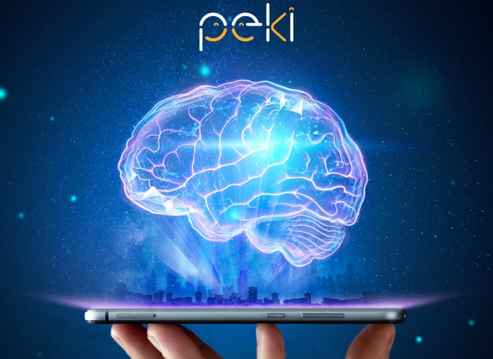 Peki Games Oyunları İle Öğrencinizin Akademik Başarısını Keşfedin
